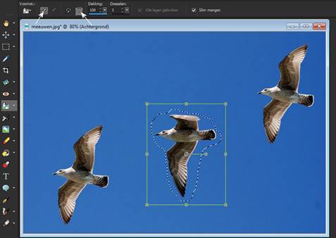 Afbeelding met vogel, lucht, dier, scherm

Beschrijving is gegenereerd met hoge betrouwbaarheid